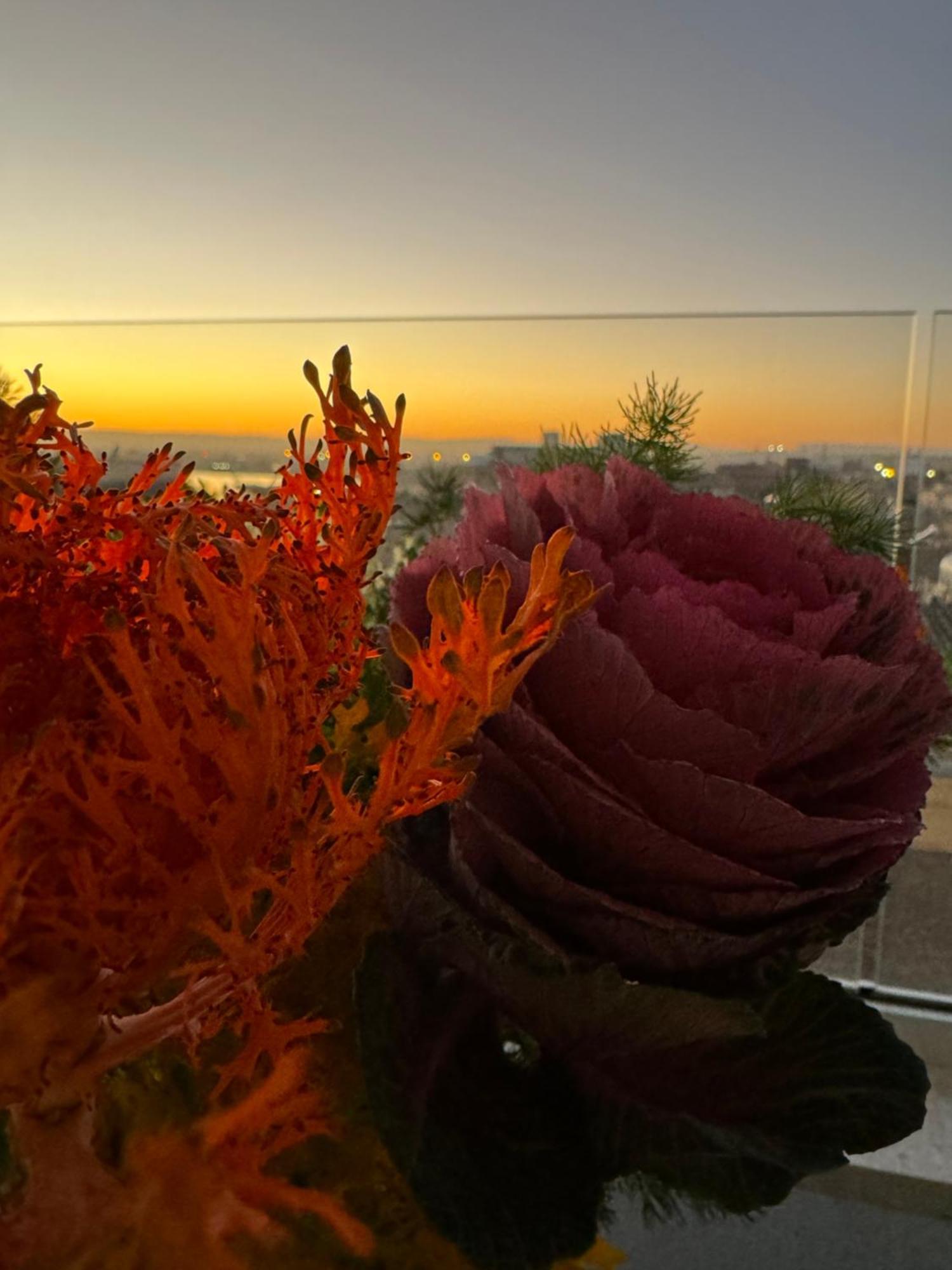 La Terrazza Sul Porto Bed & Breakfast Сиракуза Екстериор снимка